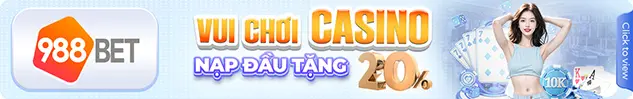 Vui chơi khi chơi casino